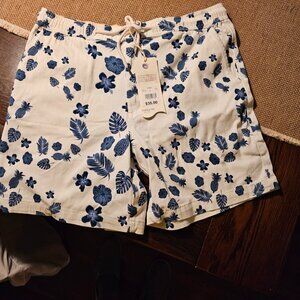 Spring Tide Stretch Twill Shorts NWT Blue and White Design